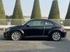VOLKSWAGEN THE BEETLE
