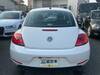 VOLKSWAGEN THE BEETLE
