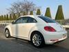 VOLKSWAGEN THE BEETLE