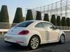VOLKSWAGEN THE BEETLE