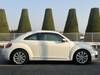 VOLKSWAGEN THE BEETLE
