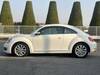 VOLKSWAGEN THE BEETLE