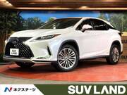 2020 LEXUS RX