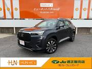 2025 HONDA OTHER