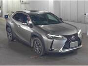 2021 LEXUS UX