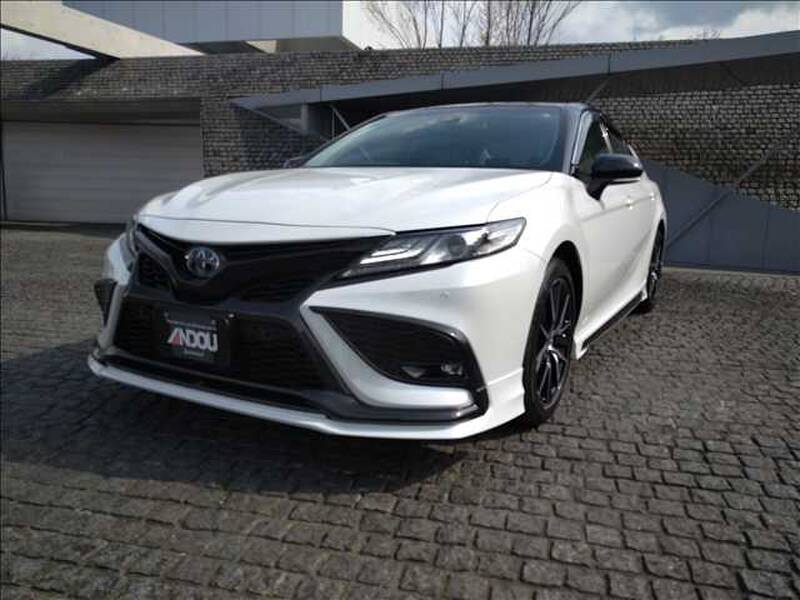 -CAMRY