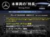 MERCEDES BENZ OTHER