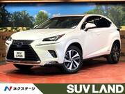 2018 LEXUS NX