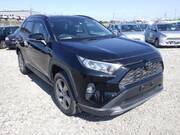 2019 TOYOTA RAV4 G