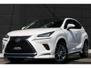 2019 LEXUS NX