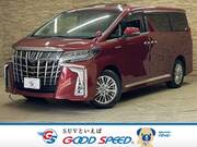 2019 TOYOTA ALPHARD HYBRID