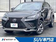 2020 LEXUS NX