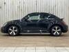 VOLKSWAGEN THE BEETLE