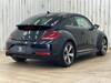 VOLKSWAGEN THE BEETLE