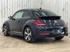 VOLKSWAGEN THE BEETLE