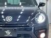 VOLKSWAGEN THE BEETLE
