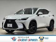 2022 LEXUS NX