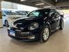 VOLKSWAGEN THE BEETLE