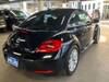 VOLKSWAGEN THE BEETLE