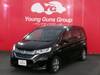HONDA OTHER