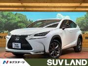 2016 LEXUS NX