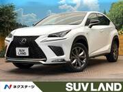 2020 LEXUS NX