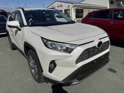 2020 TOYOTA RAV4 G