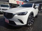 2019 MAZDA CX-3