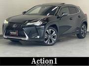 2020 LEXUS UX