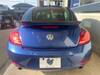 VOLKSWAGEN THE BEETLE