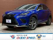 2019 LEXUS NX