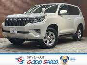 2019 TOYOTA LAND CRUISER PRADO TX