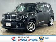 2019 CHRYSLER JEEP RENEGADE