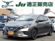 2019 NISSAN LEAF
