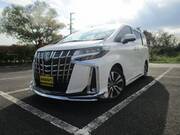 2019 TOYOTA ALPHARD
