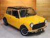 ROVER MINI