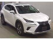 2017 LEXUS NX