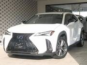2020 LEXUS UX