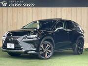 2018 LEXUS NX