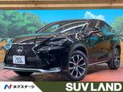 2015 LEXUS NX