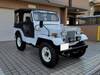 MITSUBISHI JEEP
