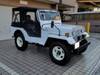 MITSUBISHI JEEP