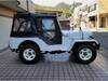 MITSUBISHI JEEP