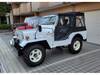 MITSUBISHI JEEP