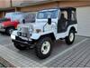 MITSUBISHI JEEP