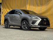 2018 LEXUS NX