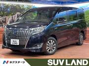 2019 TOYOTA ESQUIRE