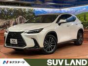 2022 LEXUS NX