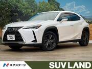 2019 LEXUS UX