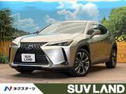 2019 LEXUS UX